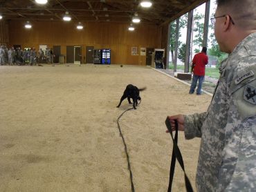 Counter Explosive Hazardous Center photo