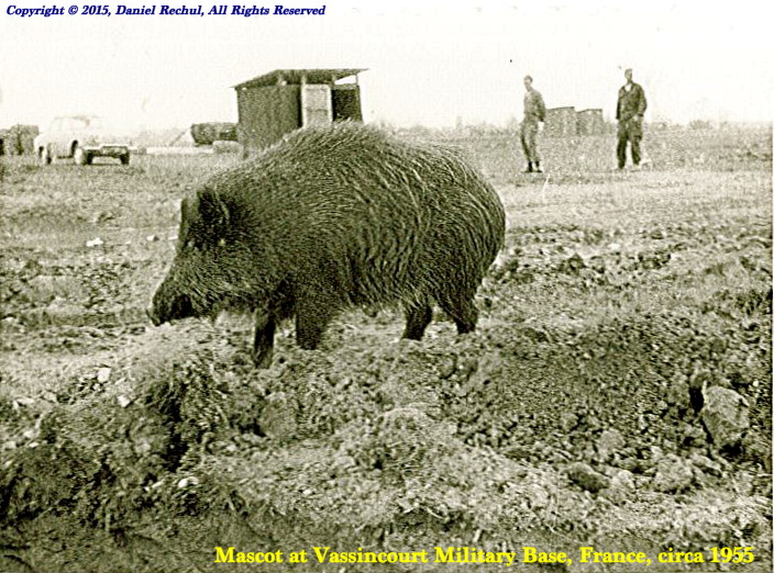 Cpl W. Rechul photograph, 1954-1966